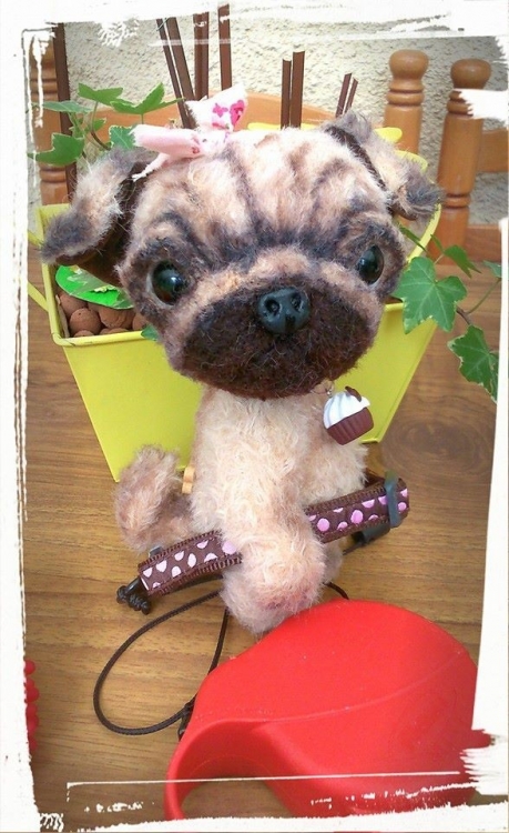 pug dolls for sale